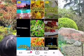 流量如果一直卡在200以下，可能被限流了，先不要发作品图片