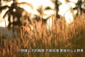 那些撩到腿软的污污的情话 情侣必备图片