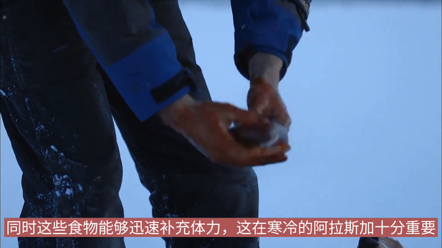 阿拉斯加生存法则：导游小伙儿狩猎野鹿来维持冬季生活