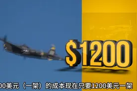 只造贵的不造多的飞机，美国最大的军火商洛克希德·马丁公司图片