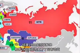 2008年格鲁吉亚为何敢招惹俄国？20%的领土被占图片