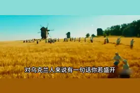 乌克兰人现在为什么拼死抵抗？图片