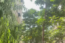 在这漫长的历史长河中，你我都是历史长河中的一粒沙子图片