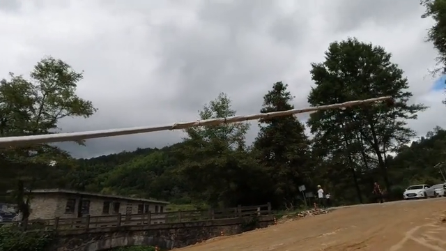经过大山深处听到奇怪叫声，走前一看发现超大庞然大物，吓坏了