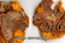 狗脊的功效与作用，你了解多少？图片