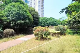 闹大了！沛县人把狗肉当特产的话题冲上了热搜，评论区都吵...图片