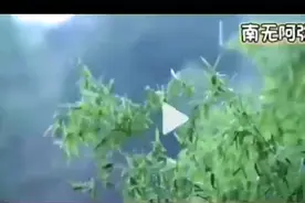 做儿女最大的孝心就是劝老人念佛……图片