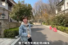 南京主城独栋别墅，院子有600㎡，私家车库#院子的梦想图片
