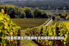 为什么网上卖的葡萄酒很便宜，七八十就可以买一箱，还是进...图片