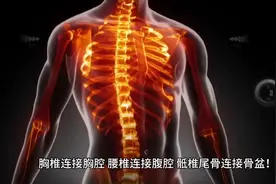 脊柱神经控制着我们的内脏器官，骨正则筋柔，人正则百孽消！图片
