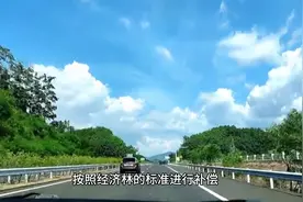 叶县果园强拆事件深度分析：法治、补偿与青年创业权益图片