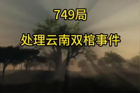 揭秘七次酒局处理的云南双关事件图片