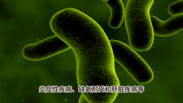 每日科普-甲珠