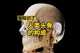 原来人类的颅骨其实并不是一个整体，看完你就明白了！ #科普图片