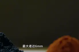一方巧施“牡蛎”治前列腺钙化 ，立杆见影图片