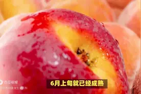 水蜜桃是几月份的水果图片