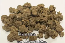 猫爪草——解毒散结的草辛图片