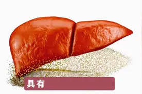 熊去氧胆酸胶囊用于保护肝脏，急性胆囊炎不能使用，会加重病情图片