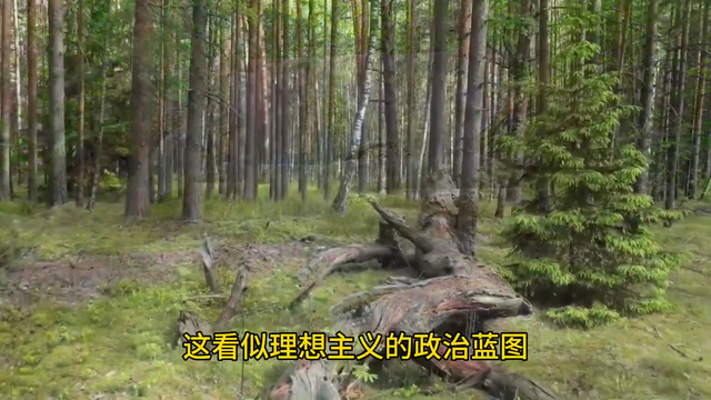 探索森林的秘密，解密文明基因密码