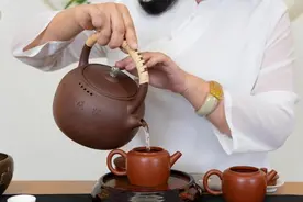 云南最贵的茶排名是怎么样的？图片