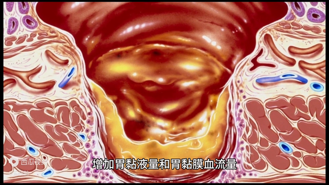 荆花胃康胶九治胃病的效果 2026年荆花胃康胶丸功效及副作用