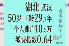 湖北武汉 个人账户10.3万 工龄29.7年 50岁退休金计算图片