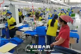 一个服装代工厂，半年赚29亿！“打工仔”竟比“老板”更赚钱图片