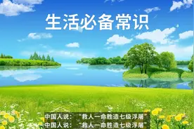 黄泥汤有大用图片