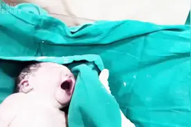 快看！又是一个“糖宝宝” ，产房刚接生，医生用力擦拭忙不停图片