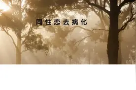 同性恋在我国实现去病化！联合国人权理事会：中方反对歧视...图片