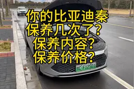 比亚迪秦Plus-dmi保养周期？保养的价格？图片