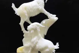 砗磲的价值真的像它的人气那样走低么？图片