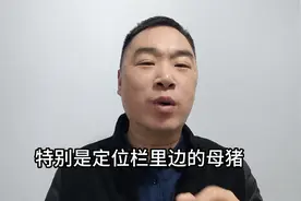 母猪拉干粪，小技巧解决大问题！图片