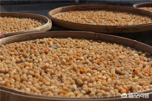 花胶虾米汤 2026年花胶虾汤的做法大全