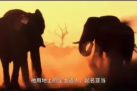 创世纪(上)，论旧约的二创性（2） 快速了解创世纪神话篇图片