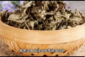 艾草：平凡而神奇的植物图片