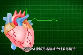 肾上腺素是什么？图片