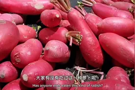 惊艳的紅皮萝卜，你吃过吗？图片