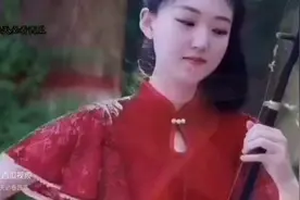 王二妮云飞合唱黄梅戏《夫妻双双把家还》郎才女貌天籁之音...图片