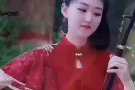 王二妮云飞合唱黄梅戏《夫妻双双把家还》郎才女貌天籁之音...图片