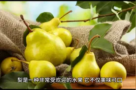 广东靓汤：鲜石斛润肺汤图片