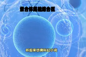 医生科普嵌合体超雄综合症#超雌综合症的表现图片