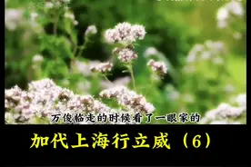 加代江湖故事-加代上海行立威（6）#江湖故事图片