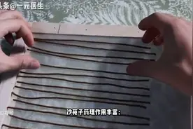 男人能力差，重用【沙苑子】，效果出人意料图片