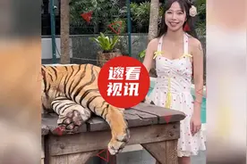 女子摸老虎尾巴又捏蛋蛋，轻拍屁股老虎眼睛冒火，下秒血脉压制图片