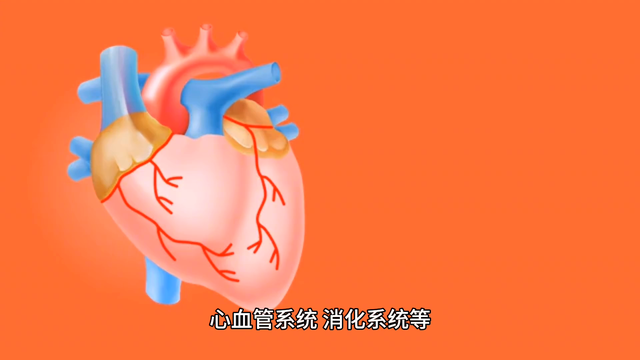 主管护师报考条件，时间和考试内容
