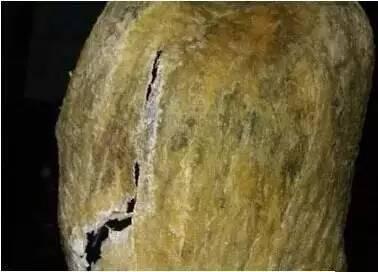 在哪里能买到正宗的花胶 2026年在哪里买花胶比较正宗和物美价廉呢?