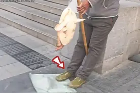 路边卖甲鱼的套路你知道吗图片