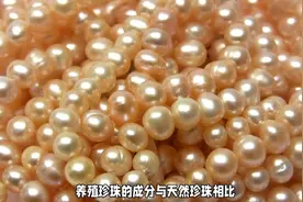 珍珠粉的制作与用途图片