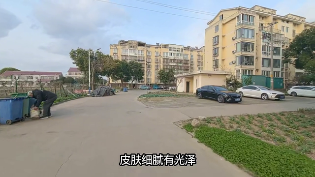 什么是撸铁？女性一周撸几次合适？55岁以上女性撸铁合适吗？